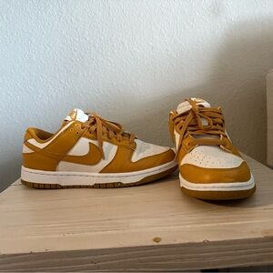 Nike Dunks Unique Color